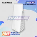Mikrotik Audience