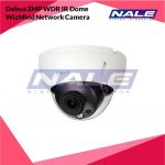 Dahua 2MP WDR IR Dome WizMind Network Camera (DH-IPC-HDBW5241RP-S)