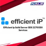 Efficient Ip Solid Server SDS 2270 DDI Services
