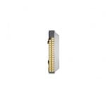 Juniper 32 channel expansion card