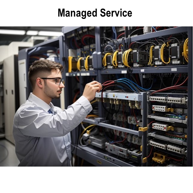 Managed Service – Exclude Replacement Equipment ( Two Day a Week )