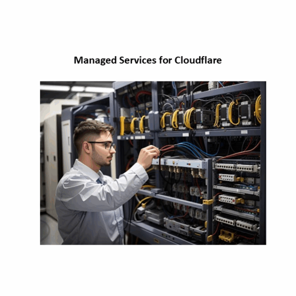 Cloudflare Business Managed Service Max 10 Subdomain Atau Aplikasi dalam 1 Domain Harga Per Bulan
