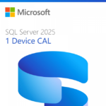 Microsoft SQL Server 2025 - 1 User CAL